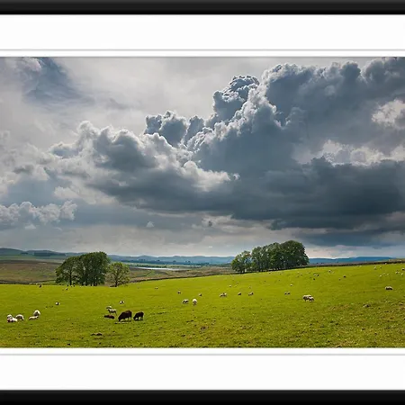 Primrose 1 Tebay (Cumbria)