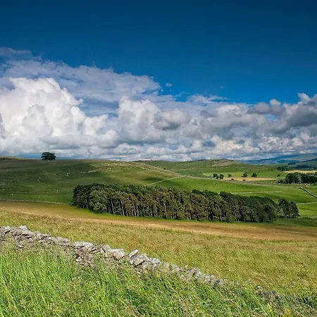 Primrose 1 * Tebay (Cumbria)